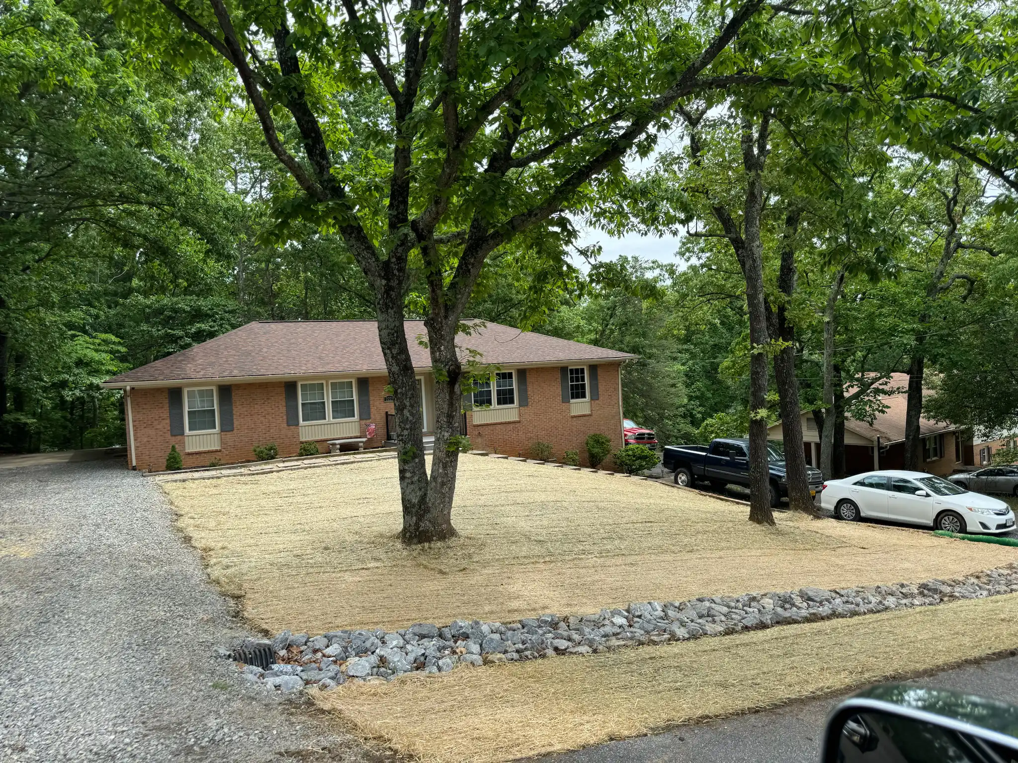 Erosion control blanket on stabilized slope