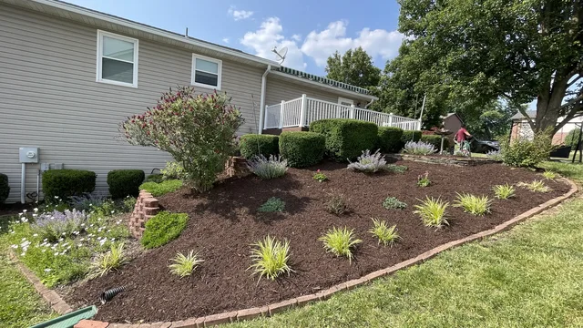 Landscape bed with accent lighting