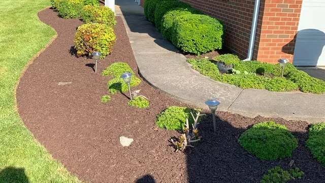 Curved landscape bed with stone edging